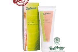 Natural All Day Facial Moisturizer | Aloe & Lavender All Day Moisturizer